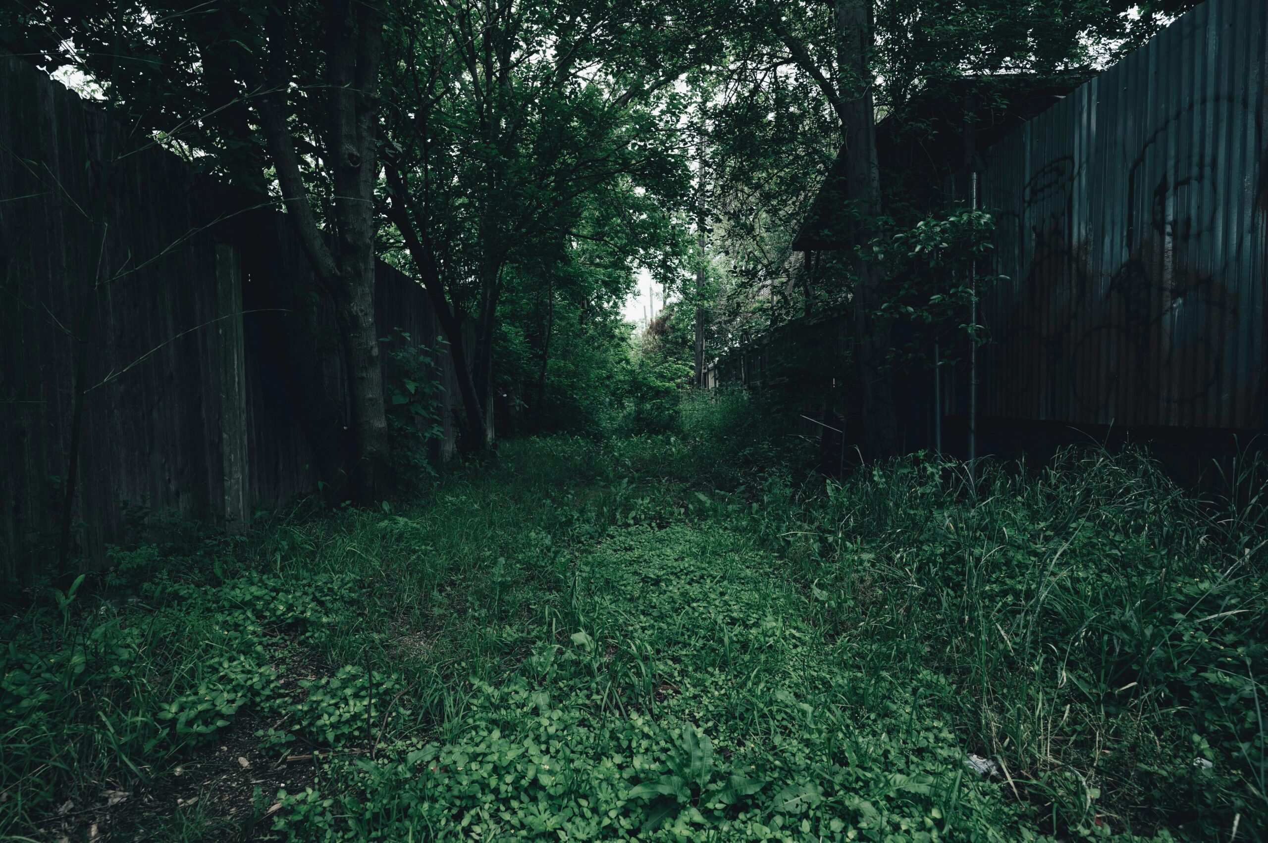 taboo domination fantasy exploration, extreme kink roleplay scenarios, explicit fetish confessions uncovered, hardcore roleplay desires explained, BDSM taboo desires exposed, raw fantasies explored in depth, unrestrained sexual exploration guide, extreme taboo fetish confessions, hardcore kink fantasies detailed, deep dive into taboo sexual desires