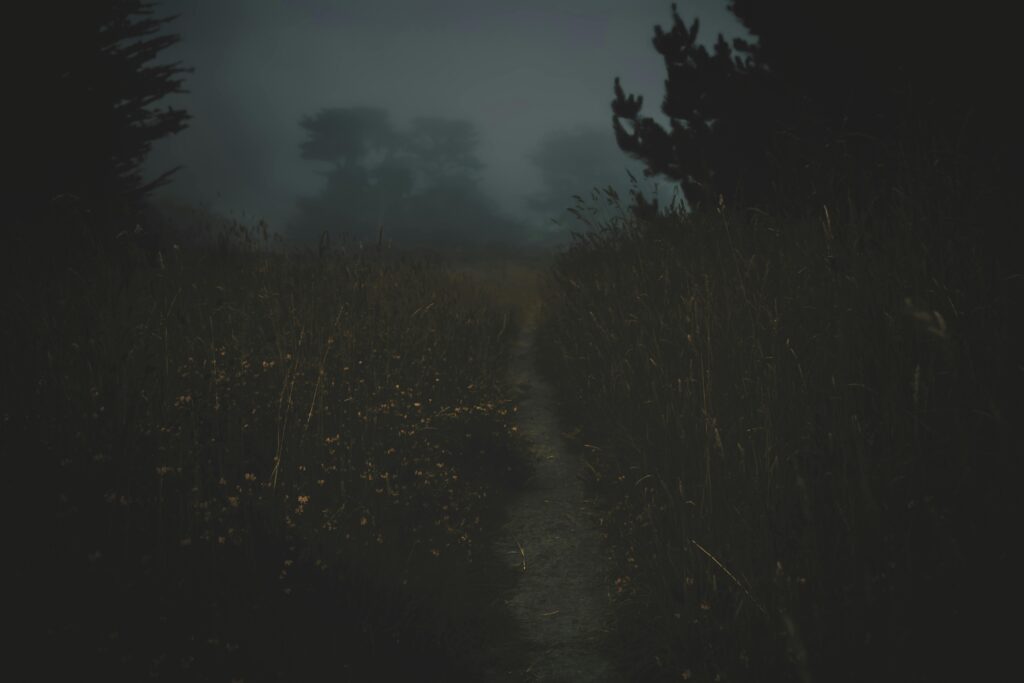 Discover the Secret World of Passionate Fantasies and Deep-Rooted Desires