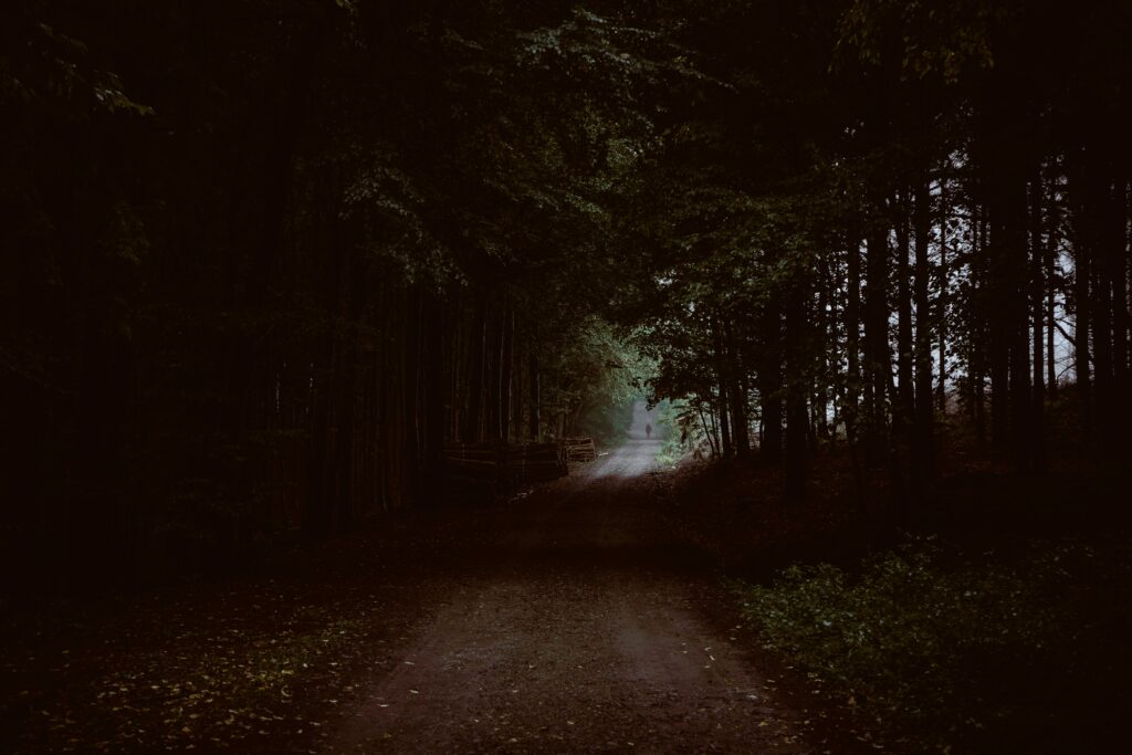 Exploring the Depths of Desire: A Journey Through Intense Fantasy Narratives and Kink Exploration